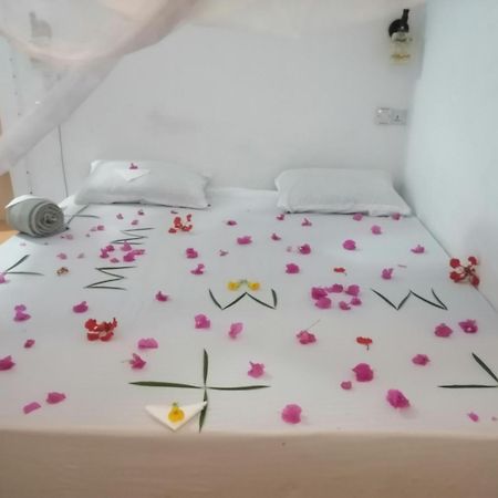 Wow Beach House Jambiani  Ngoại thất bức ảnh