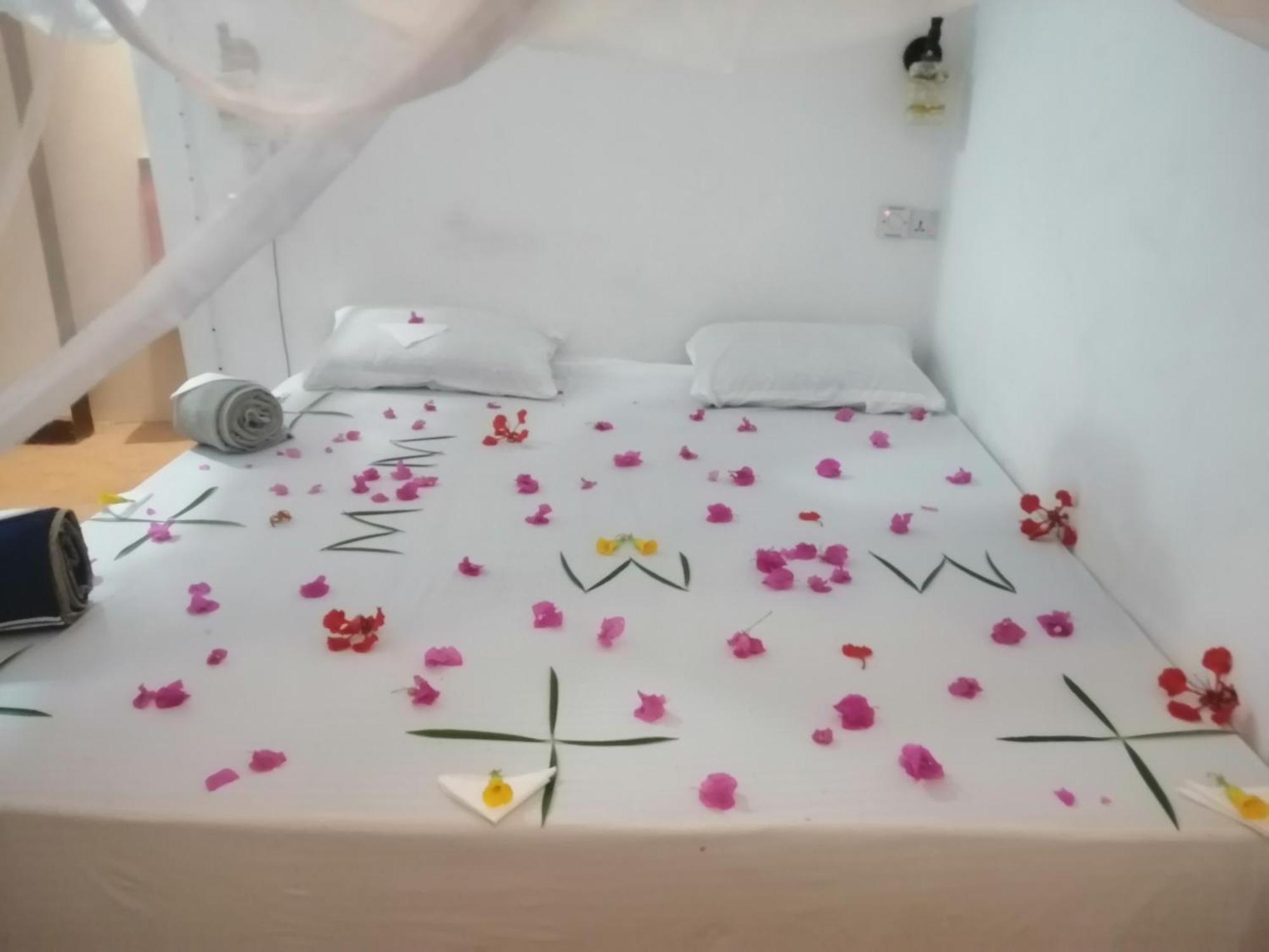 Wow Beach House Jambiani  Ngoại thất bức ảnh